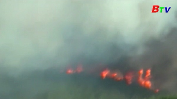Cháy rừng dữ dội tại New Zealand, hàng nghìn người sơ tán