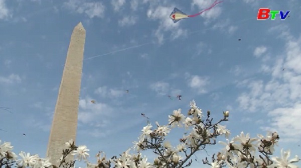 Ấn tượng Lễ hội thả diều mùa hoa anh đào tại Washington D.C