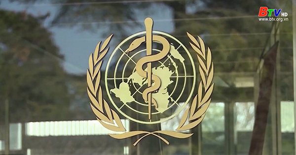 WHO – Nguy cơ gia tăng ca tử vong vì bệnh đậu mùa khỉ