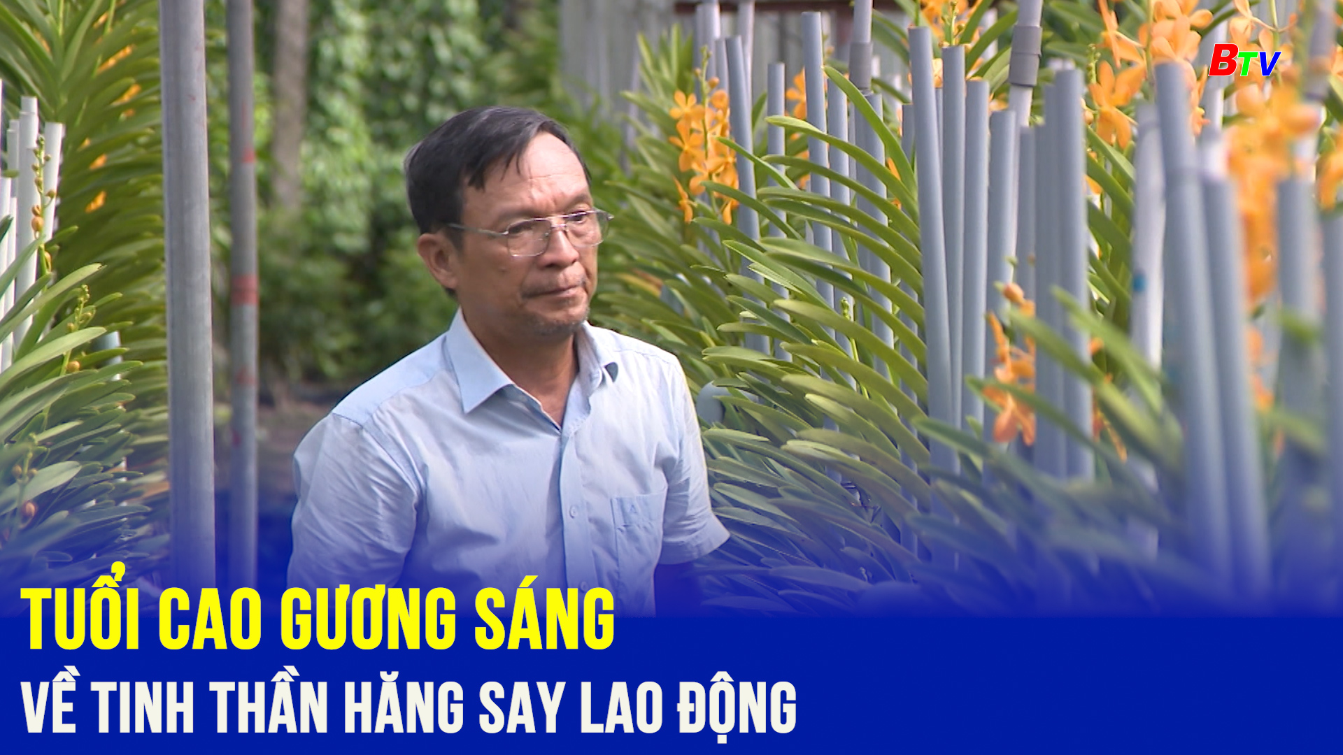 Tuổi cao gương sáng về tinh thần hăng say lao động