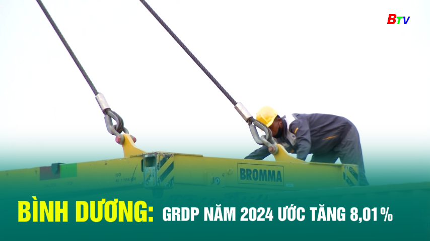 Bình Dương: GRDP năm 2024 ước tăng 8,01%