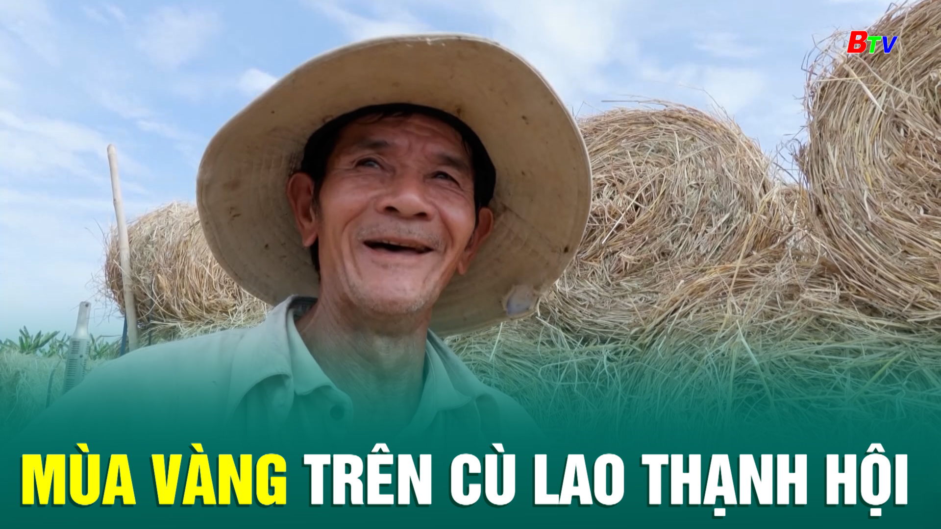 Mùa vàng trên cù lao Thạnh Hội