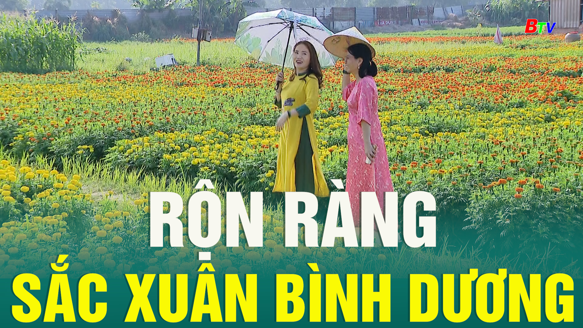 Rộn ràng sắc xuân Bình Dương