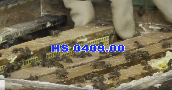 Mỹ điều tra chống bán phá giá mật ong Việt Nam 