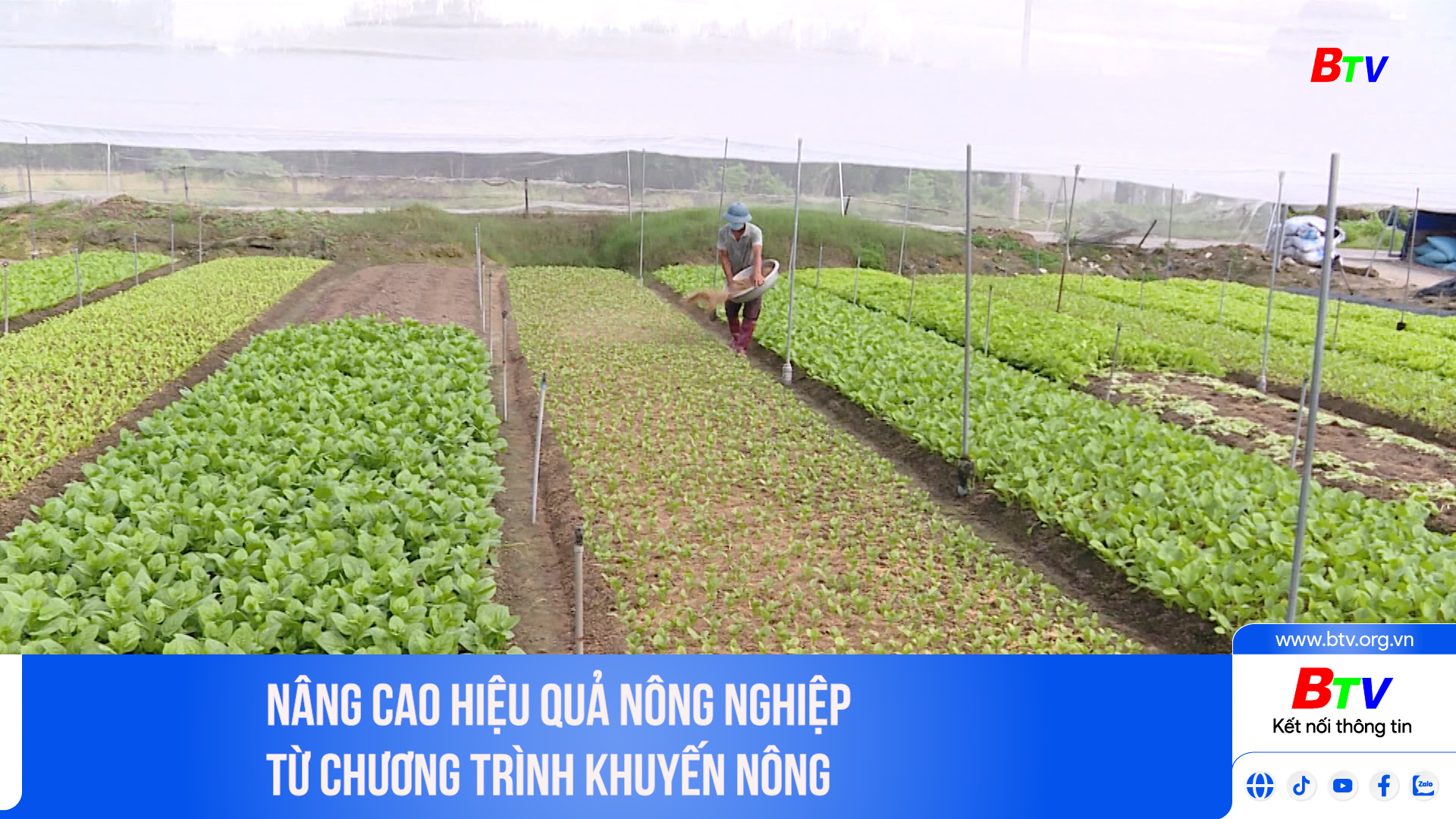 Nâng cao hiệu quả nông nghiệp từ chương trình khuyến nông