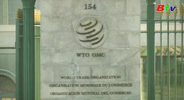 WTO hạ dự báo tăng trưởng thương mại toàn cầu