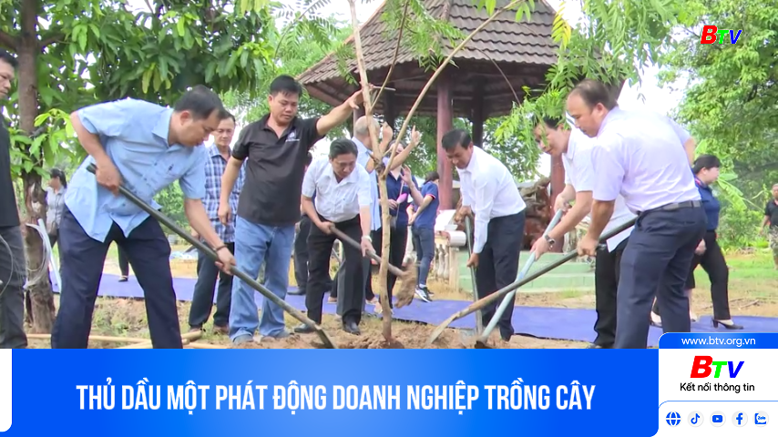 Thủ Dầu Một phát động doanh nghiệp trồng cây