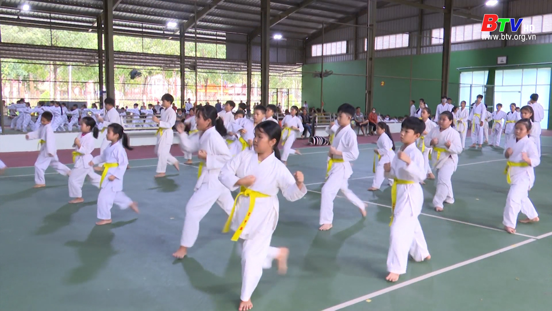 Gần 500 võ sinh tham gia thi thăng cấp đai Karate ở huyện Phú Giáo