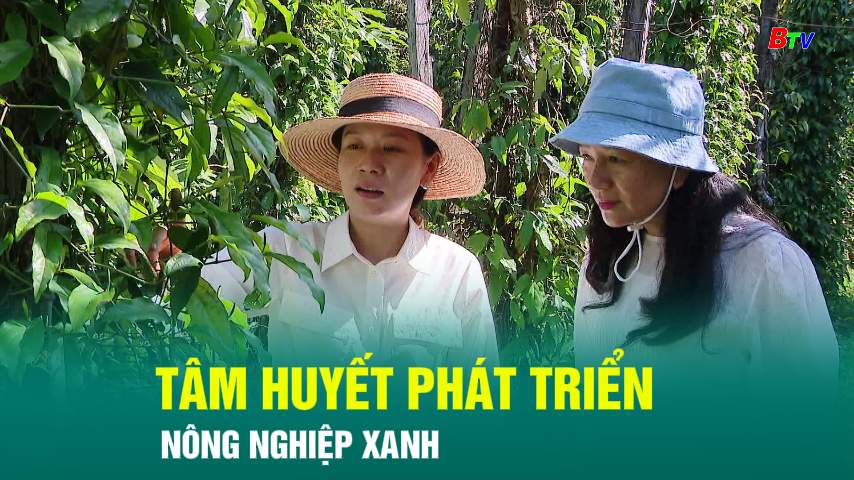 Tâm huyết phát triển nông nghiệp xanh