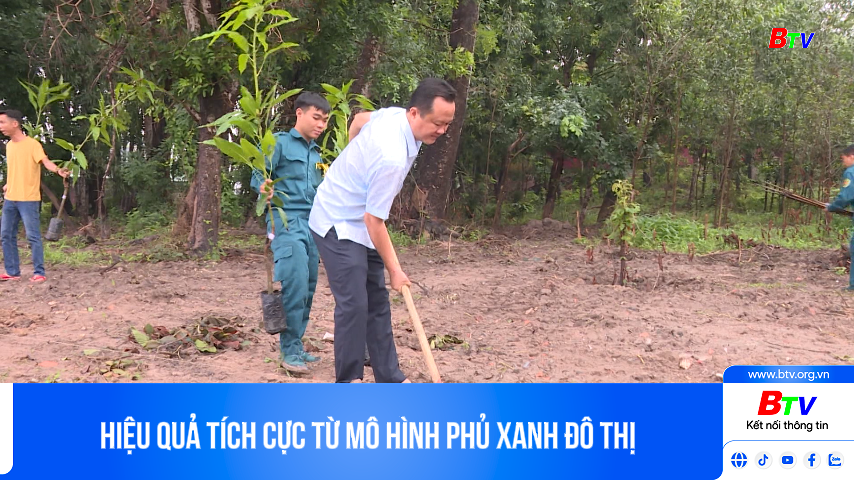 Hiệu quả tích cực từ mô hình phủ xanh đô thị