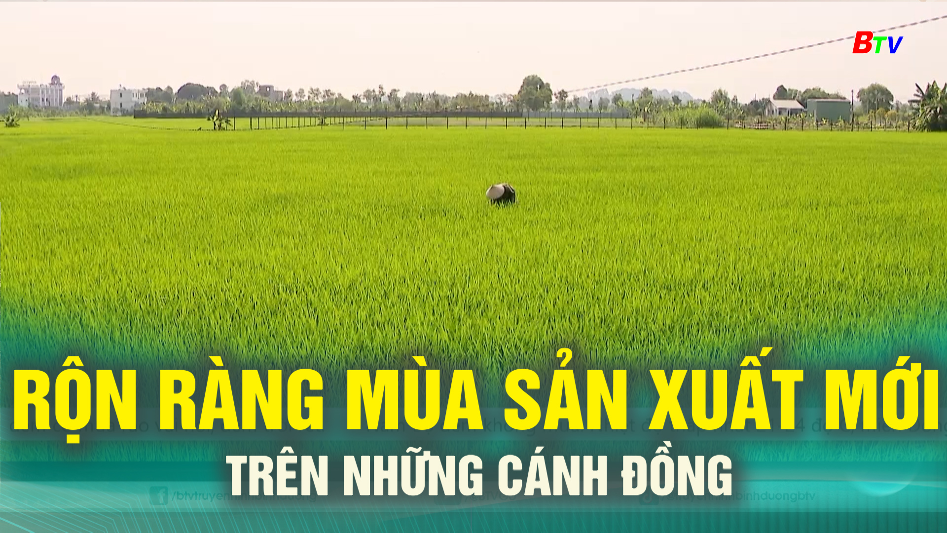 Rộn ràng mùa sản xuất mới trên những cánh đồng