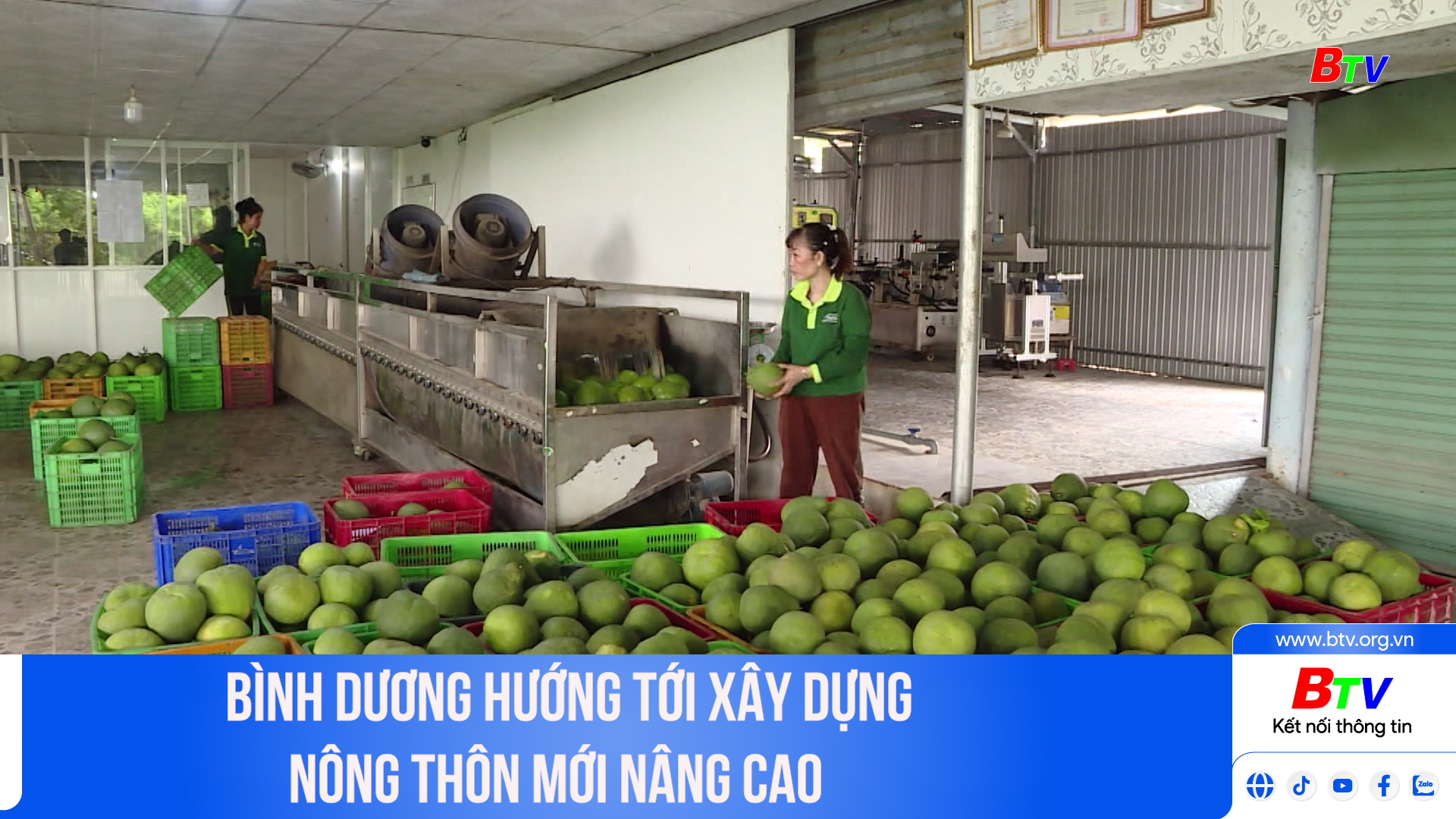 Bình Dương hướng tới xây dựng nông thôn mới nâng cao