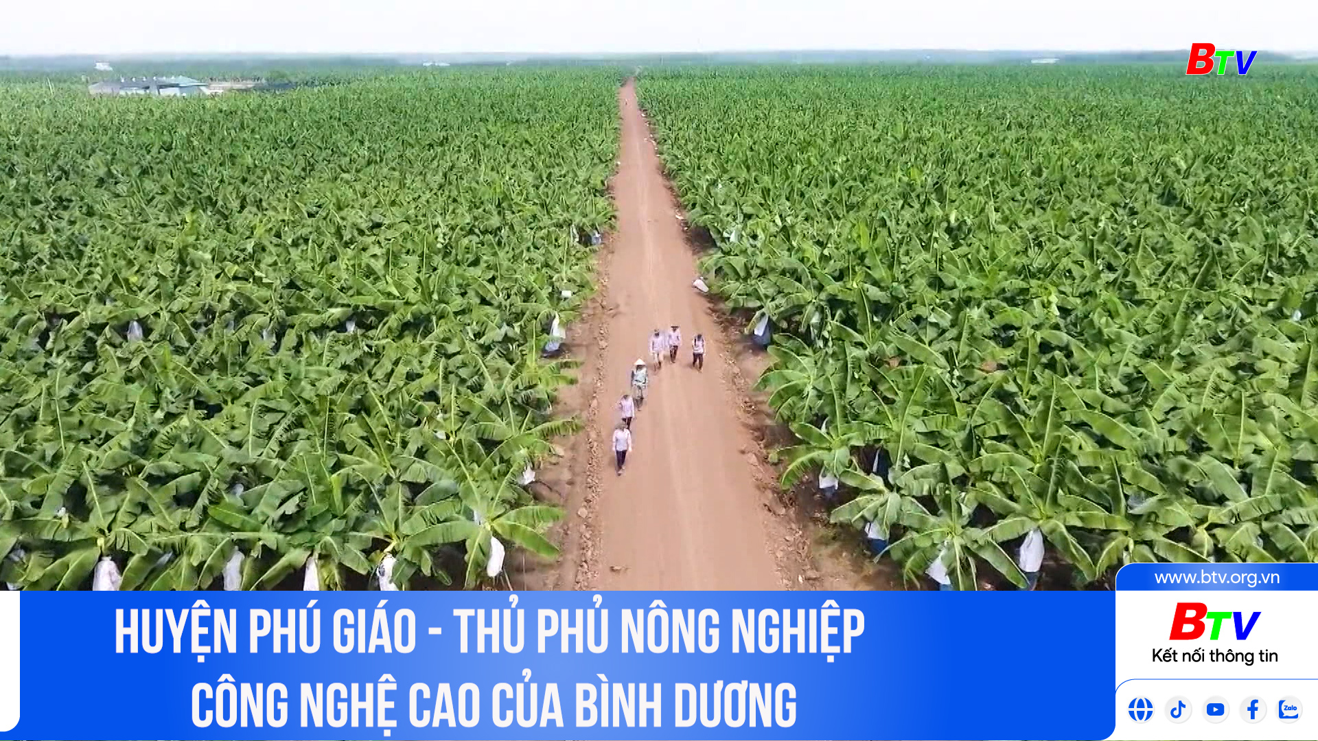 Huyện Phú Giáo - Thủ phủ nông nghiệp công nghệ cao của Bình Dương