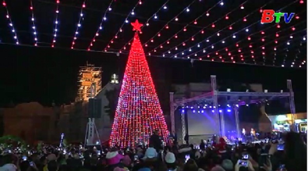 Chiêm ngưỡng cây thông Noel khổng lồ ở Bethlehem