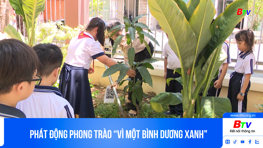 Phát động phong trào “Vì một Bình Dương xanh