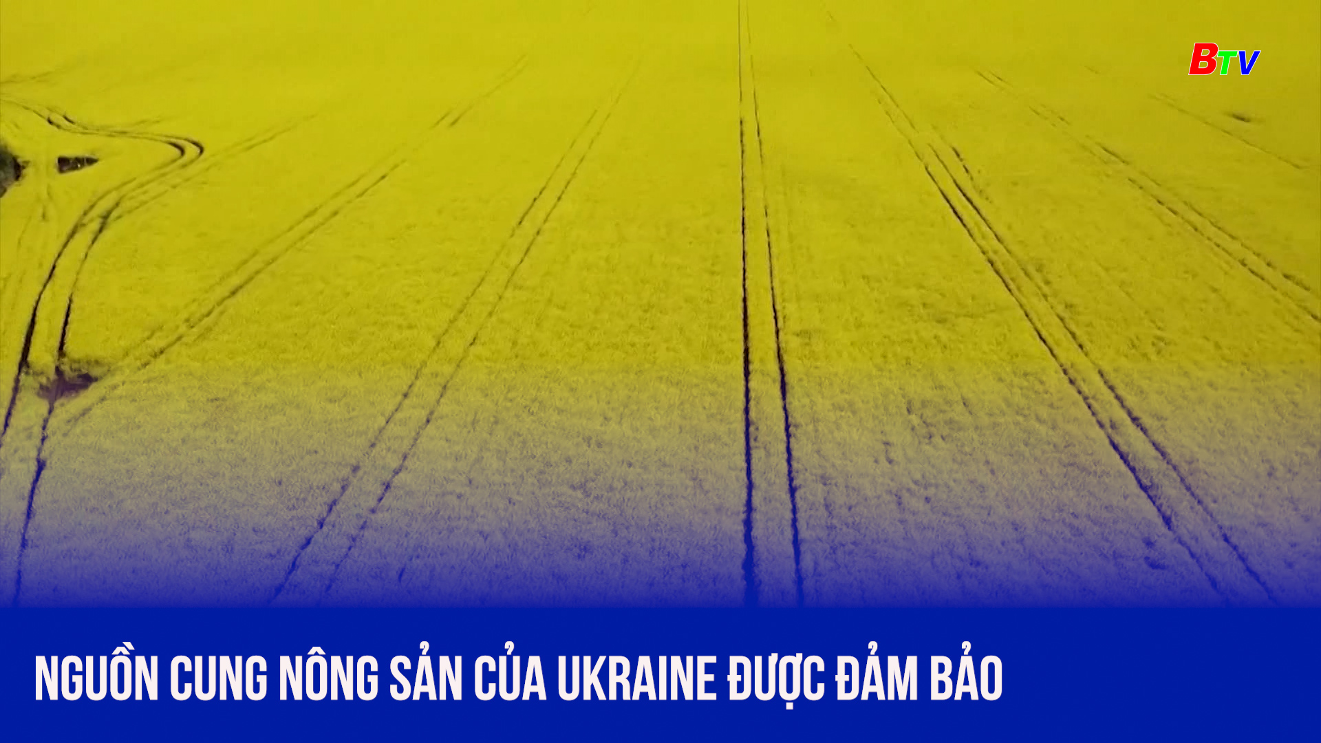 Nguồn cung nông sản của Ukraine được đảm bảo