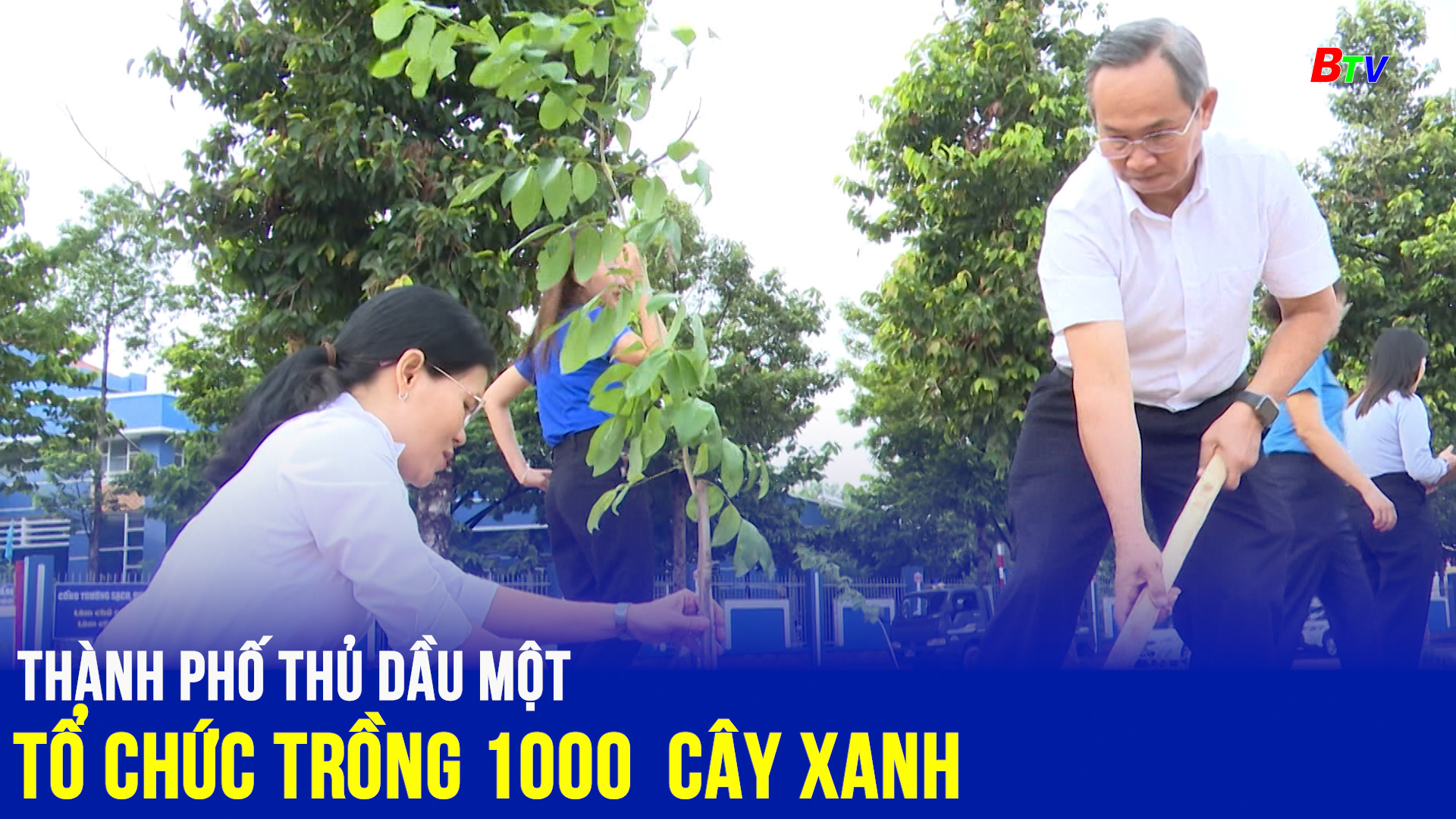 Thành phố Thủ Dầu Một tổ chức trồng 1000 cây xanh