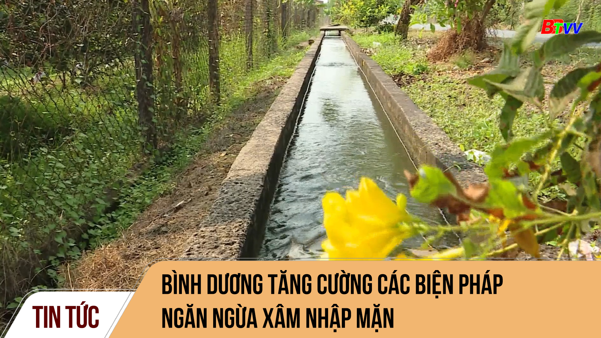 Bình Dương tăng cường các biện pháp ngăn ngừa xâm nhập mặn