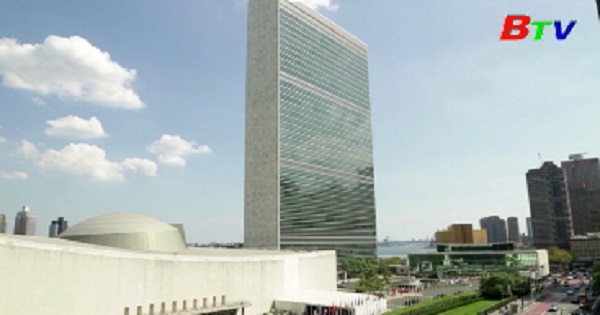 Liên hợp quốc khởi động Thập kỷ phục hồi hệ sinh thái