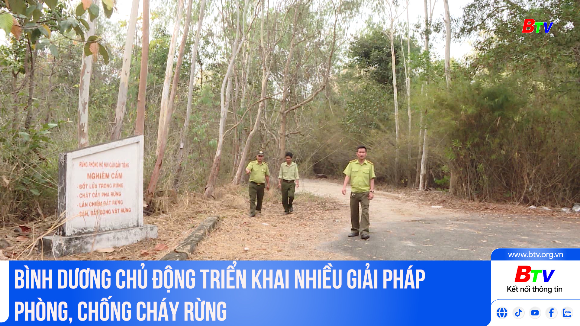 Bình Dương chủ động triển khai nhiều giải pháp phòng, chống cháy rừng