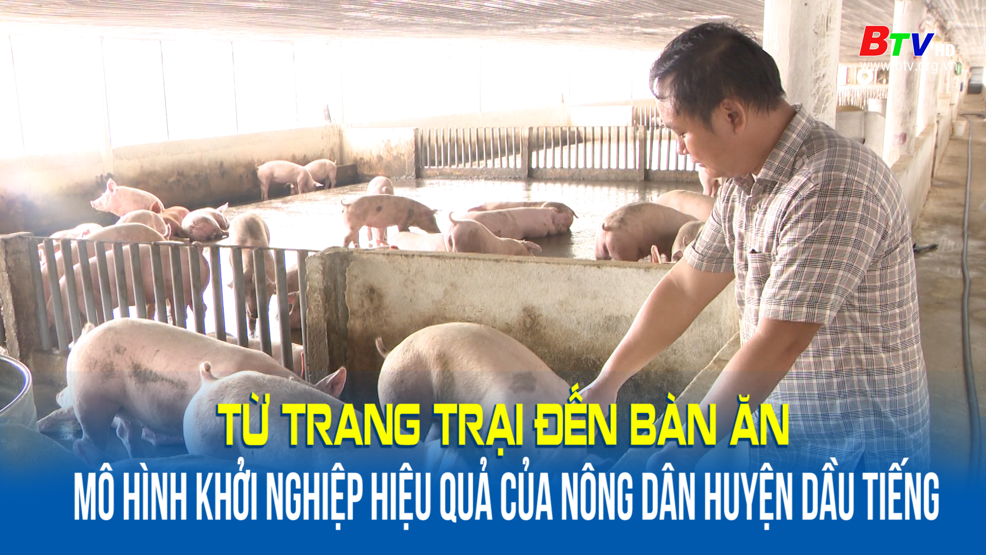 Từ trang trại đến bàn ăn mô hình khởi nghiệp hiệu quả của nông dân huyện Dầu Tiếng