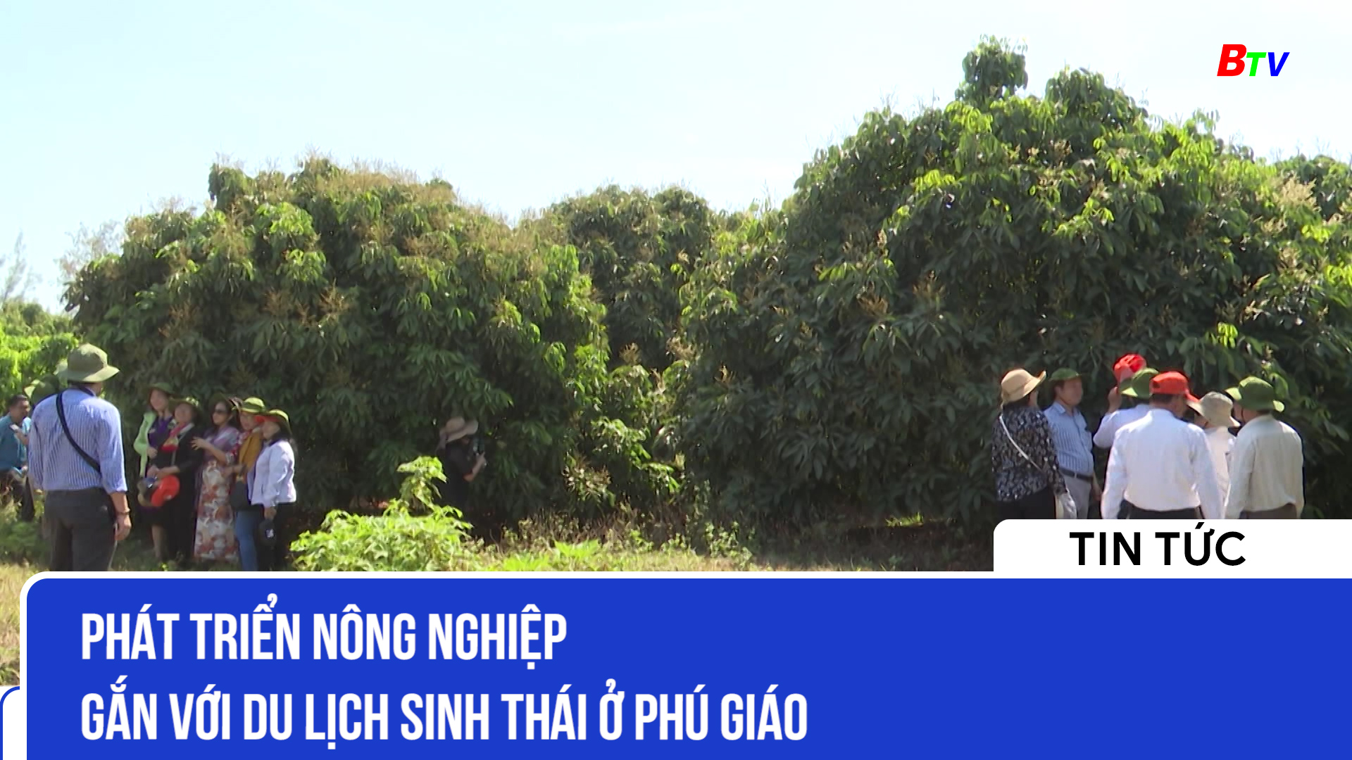 Phát triển nông nghiệp gắn với du lịch sinh thái ở Phú Giáo