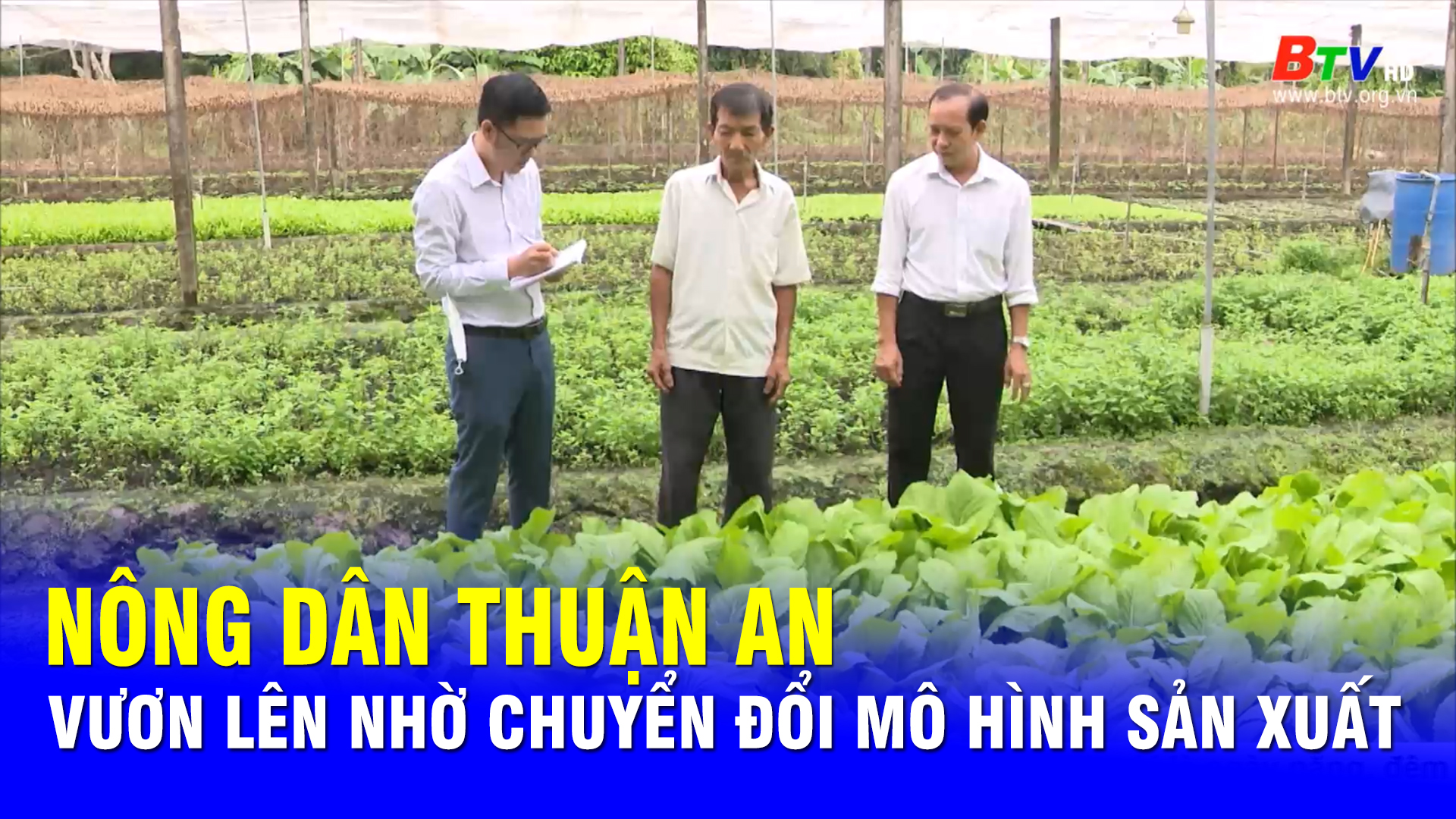 Nông dân Thuận An vươn lên nhờ chuyển đổi mô hình sản xuất