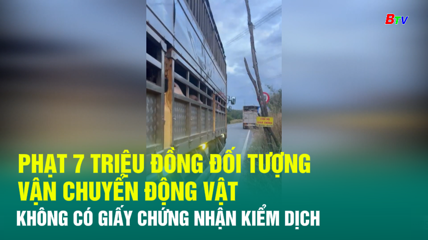 Phạt 7 triệu đồng đối tượng vận chuyển động vật không có giấy chứng nhận kiểm dịch