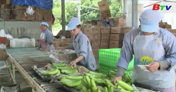 Phú Giáo phát triển nông nghiệp công nghệ cao