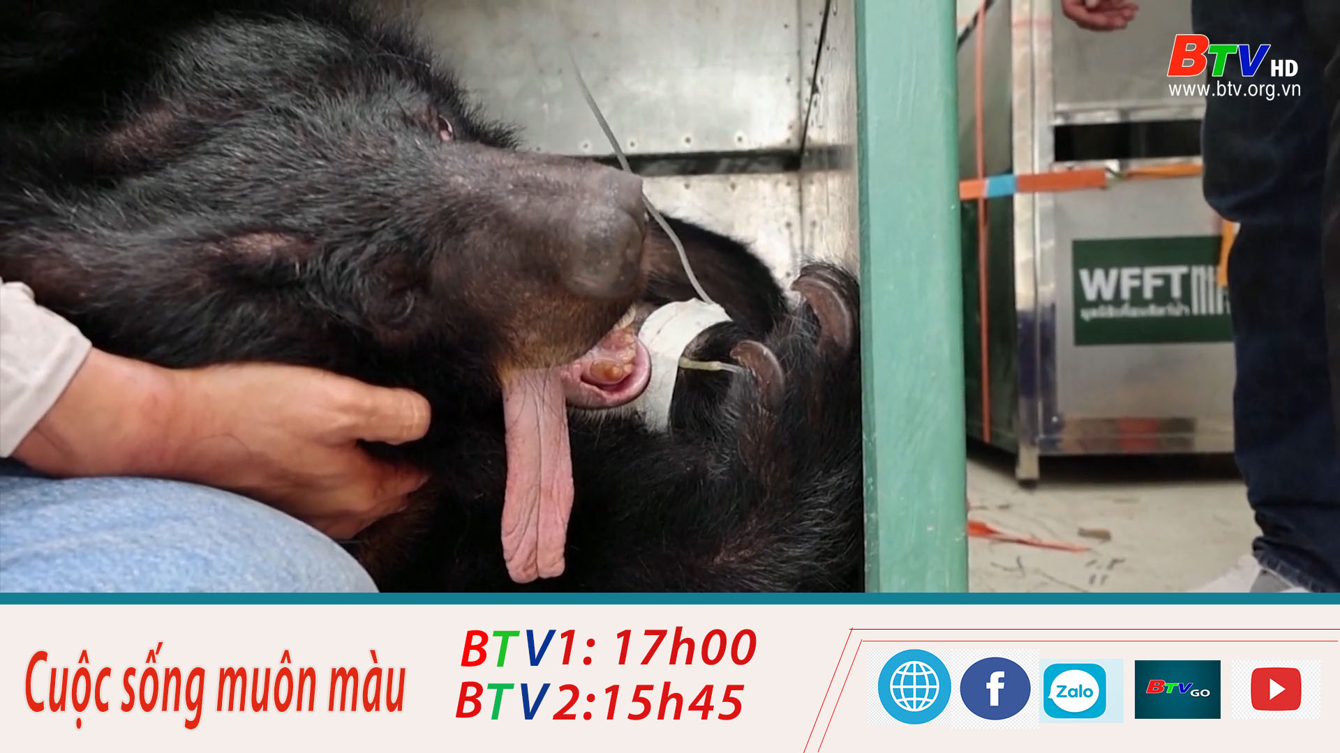 Thái Lan giải cứu các loài vật từ vườn thú Phuket