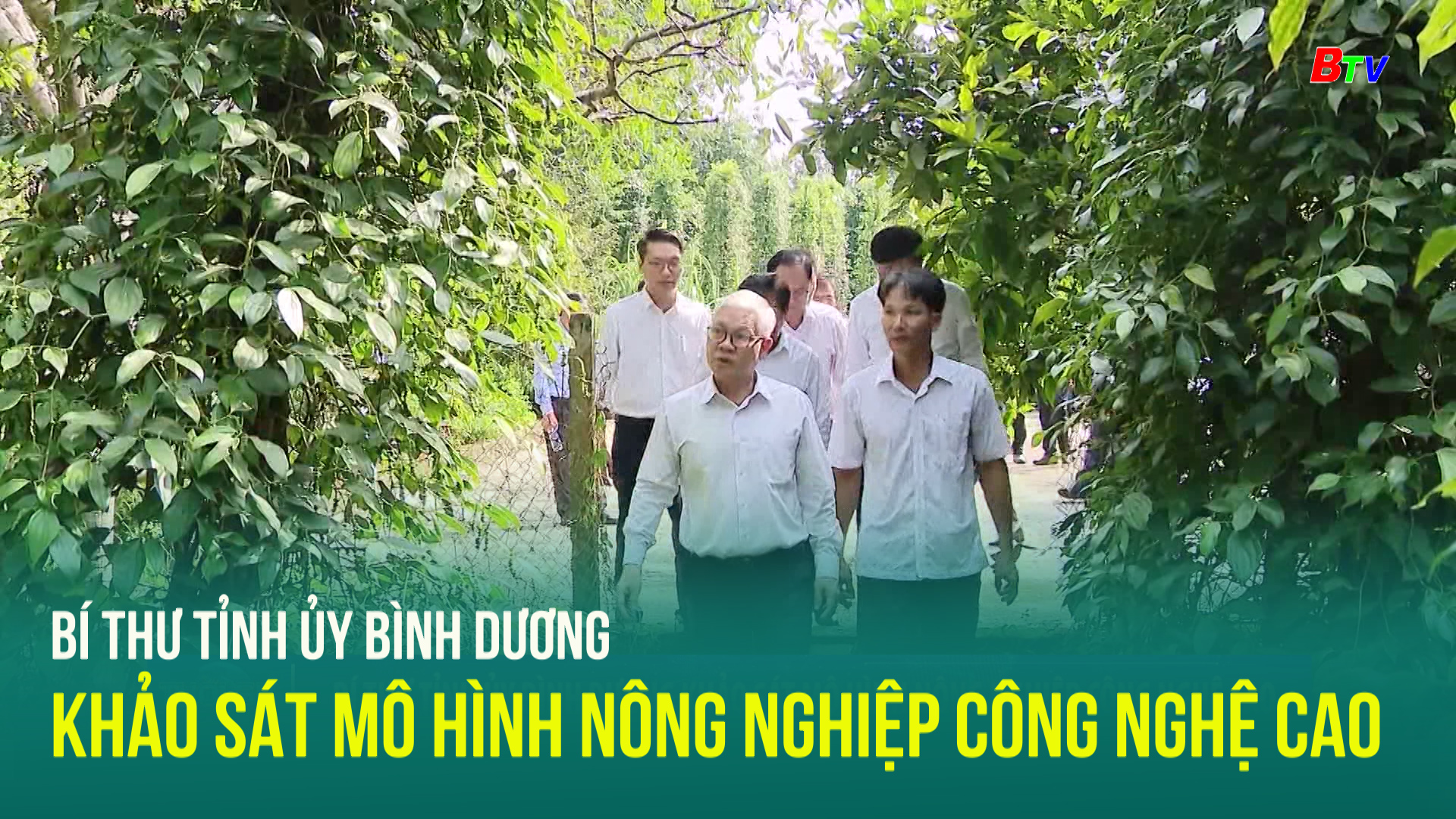 Bí thư Tỉnh ủy Bình Dương khảo sát mô hình nông nghiệp công nghệ cao	