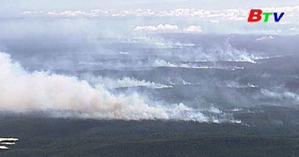 Cháy rừng thiêu rụi một nửa diện tích hòn đảo Fraser ở Australia