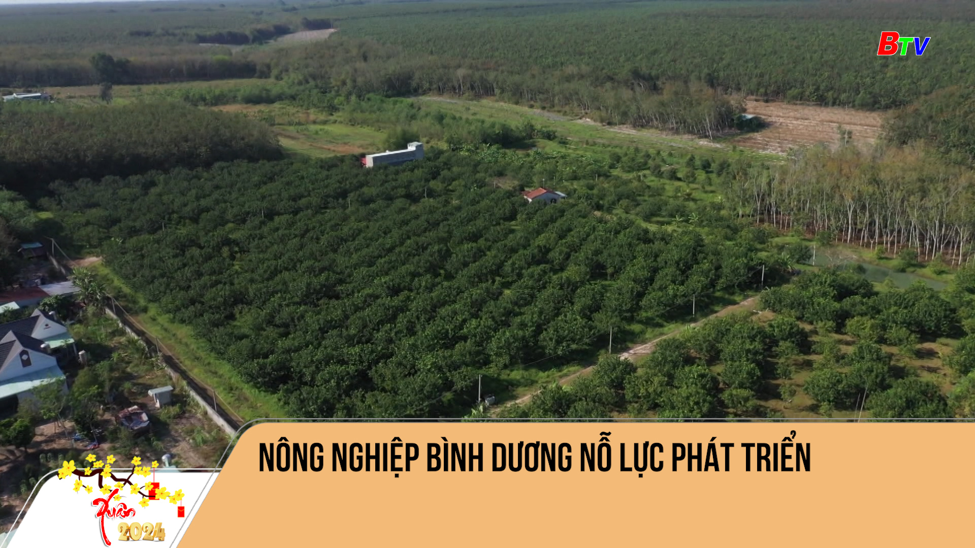 Nông nghiệp Bình Dương nỗ lực phát triển