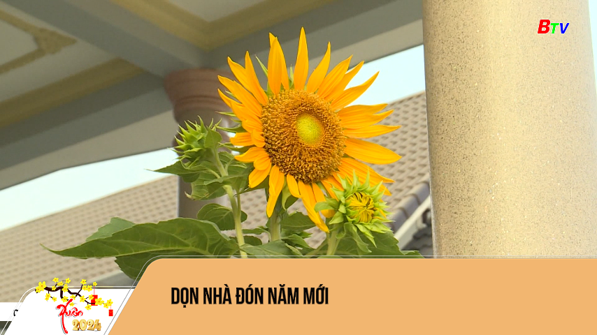 Dọn nhà đón năm mới