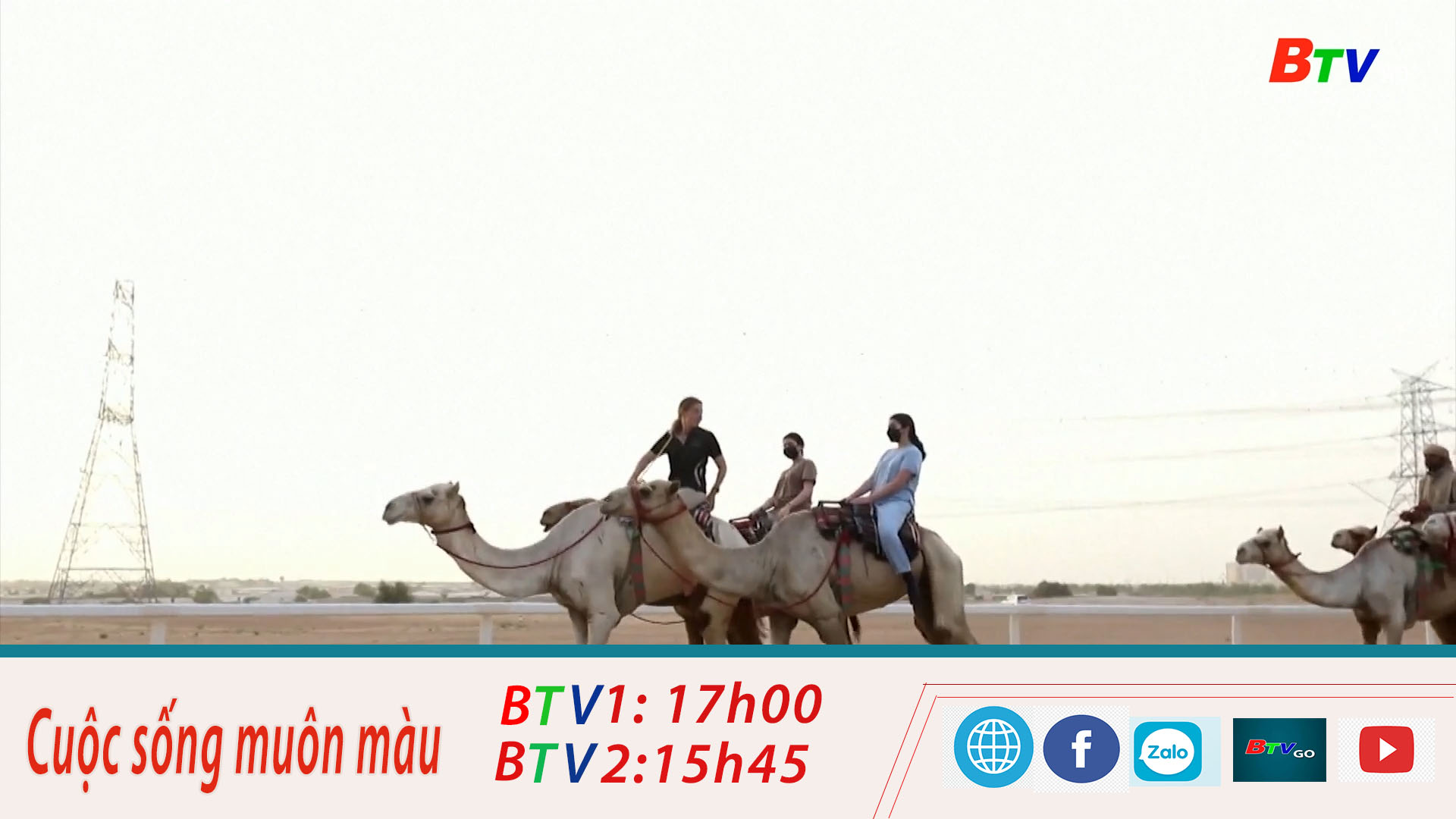 	Trung tâm cưỡi lạc đà trên sa mạc ở Dubai, UAE