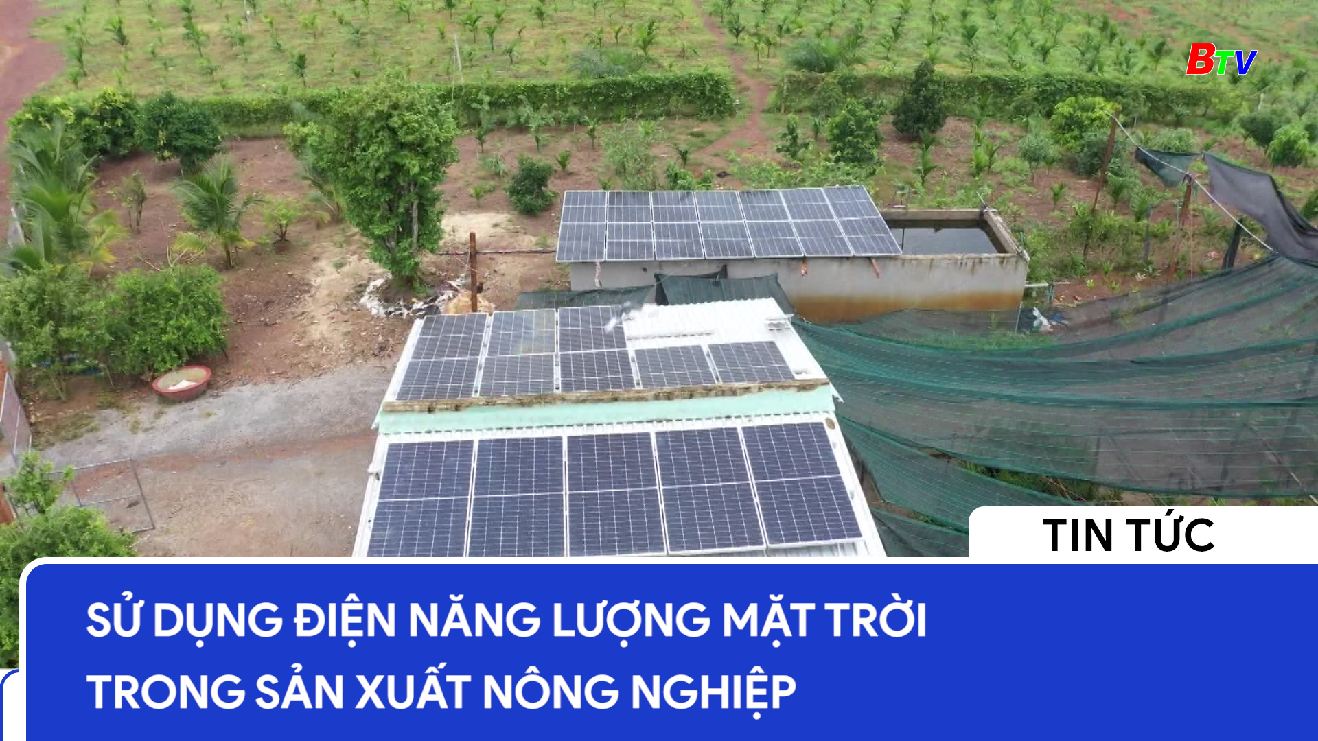 Sử dụng điện năng lượng mặt trời trong sản xuất nông nghiệp