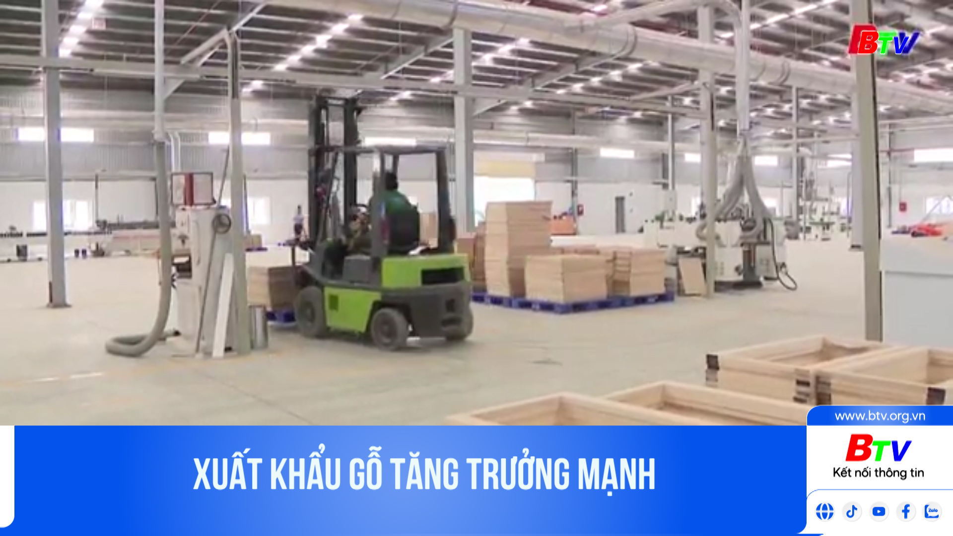 Xuất khẩu gỗ tăng trưởng mạnh	