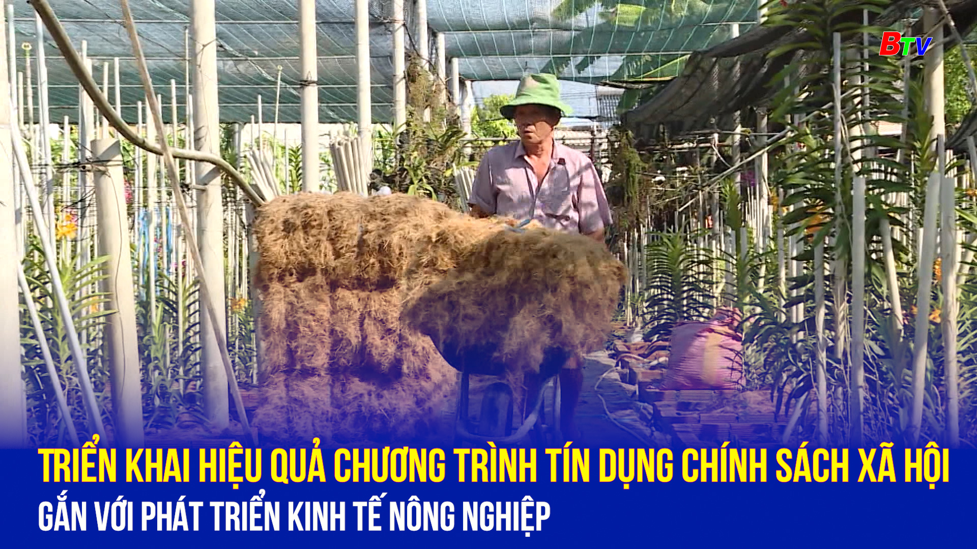 Triển khai hiệu quả chương trình tín dụng chính sách xã hội gắn với phát triển kinh tế nông nghiệp