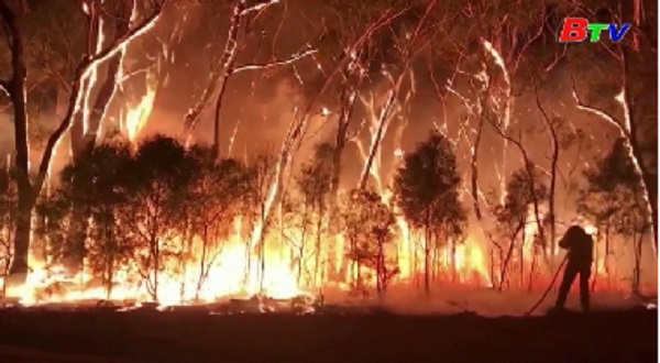Cháy rừng ở Australia nguy cơ lan rộng