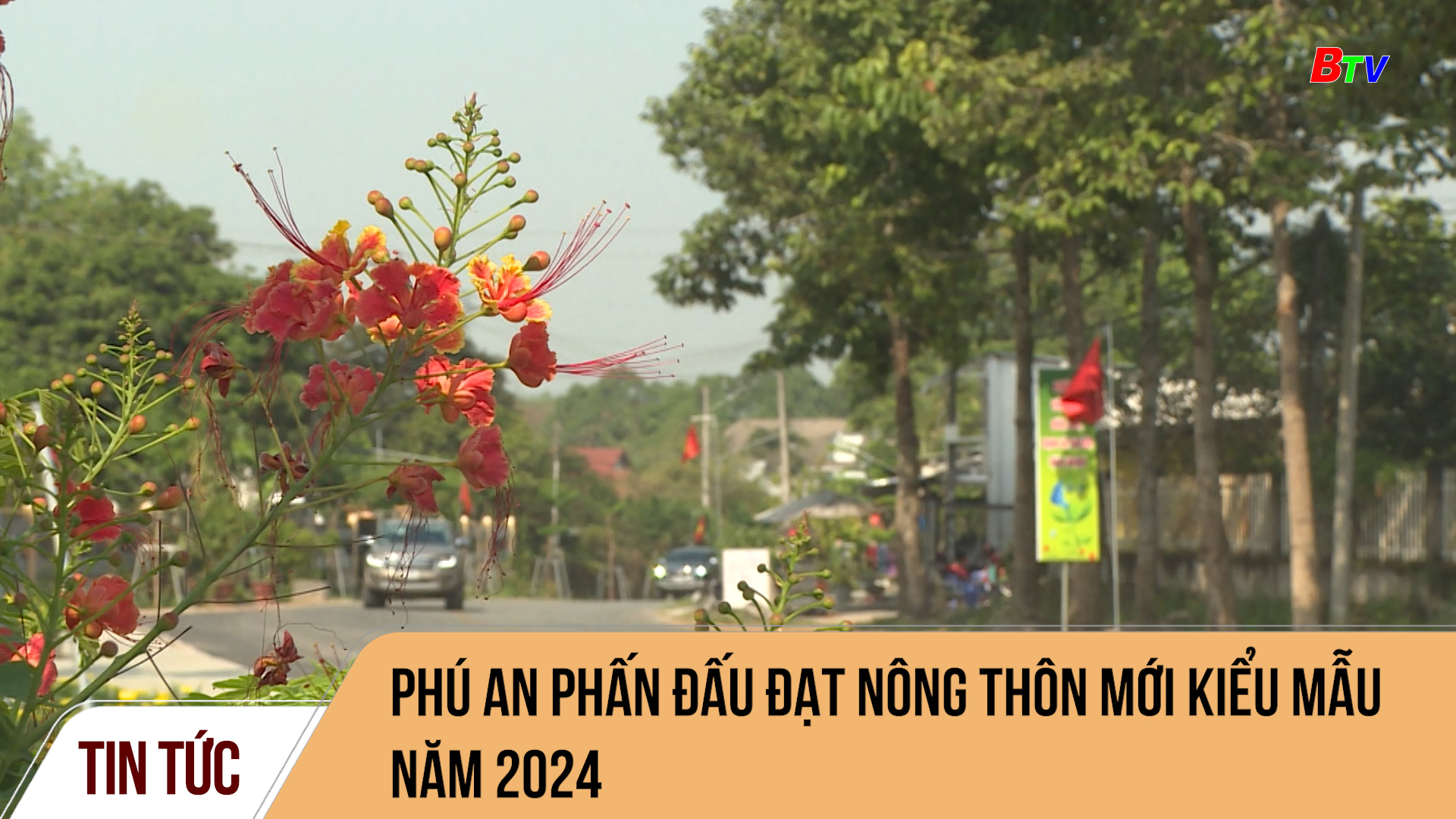 Phú An phấn đấu đạt nông thôn mới kiểu mẫu năm 2024