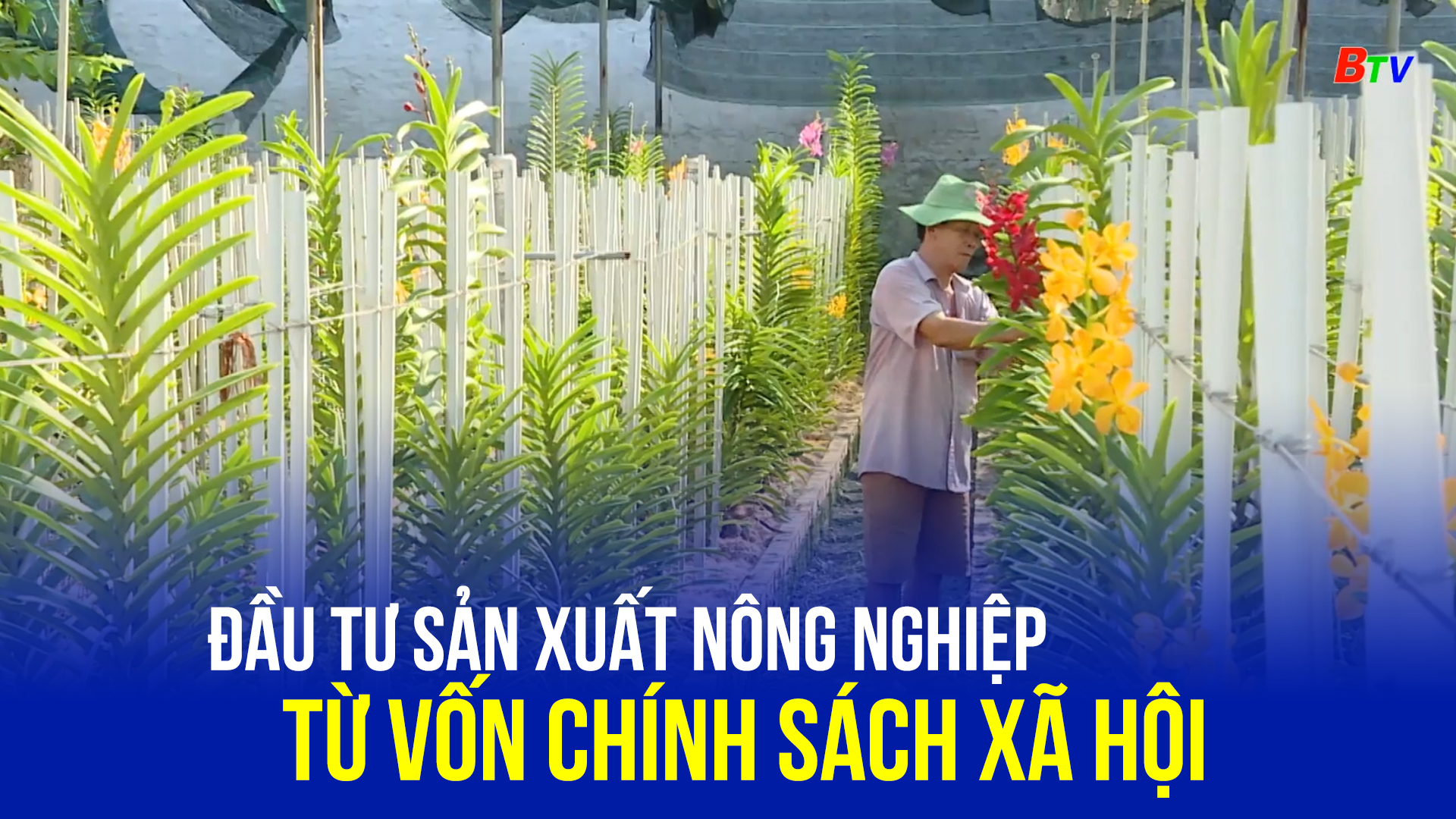 Đầu tư sản xuất nông nghiệp từ vốn chính sách xã hội