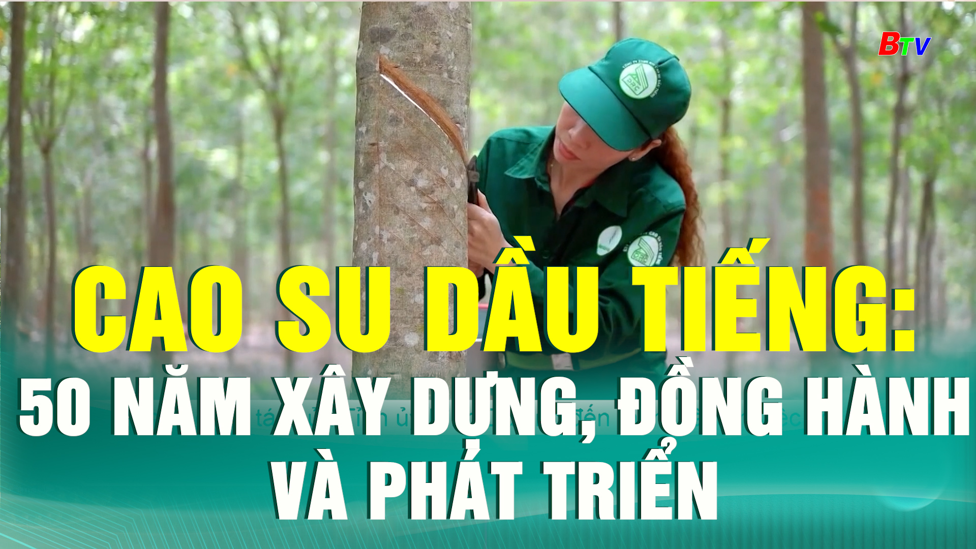 Cao su Dầu Tiếng: 50 năm xây dựng, đồng hành và phát triển