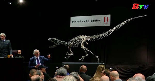 Bán đấu giá hai hóa thạch khủng long tại Pháp