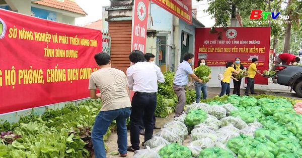 Hội Chữ Thập Đỏ tiếp nhận hàng hỗ trợ