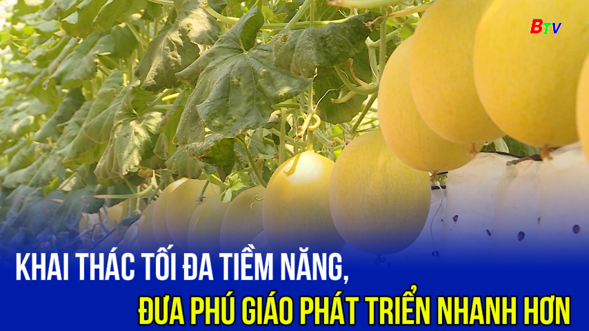 Khai thác tối đa tiềm năng, đưa Phú Giáo phát triển nhanh hơn