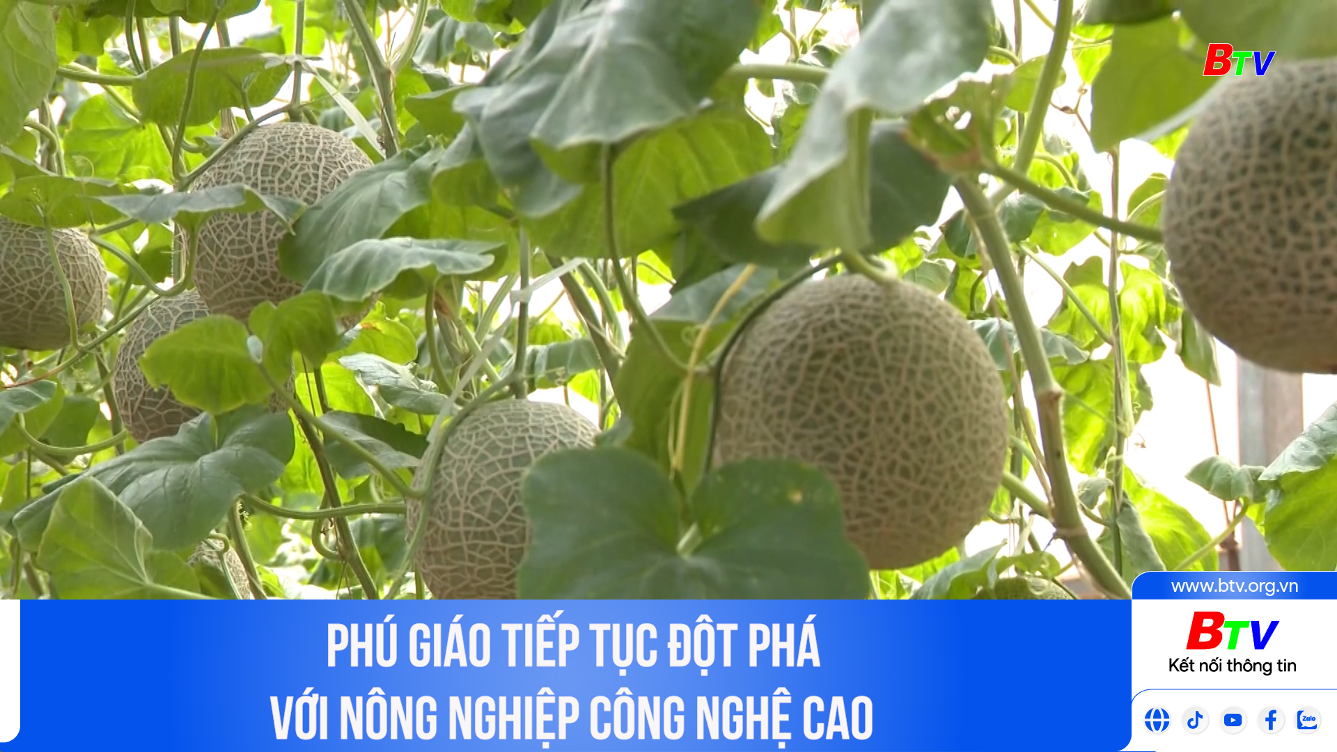 Phú Giáo tiếp tục đột phá với nông nghiệp công nghệ cao