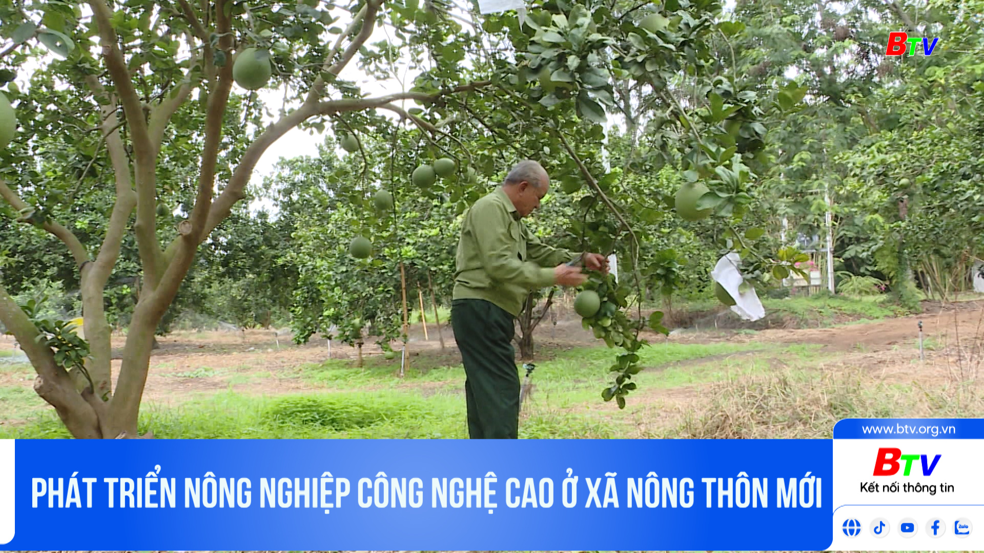 Phát triển nông nghiệp công nghệ cao ở xã nông thôn mới	