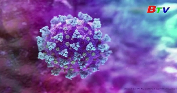 Nhiều nước châu Mỹ ghi nhận ca nhiễm biến thể mới của virus SARS-CoV-2