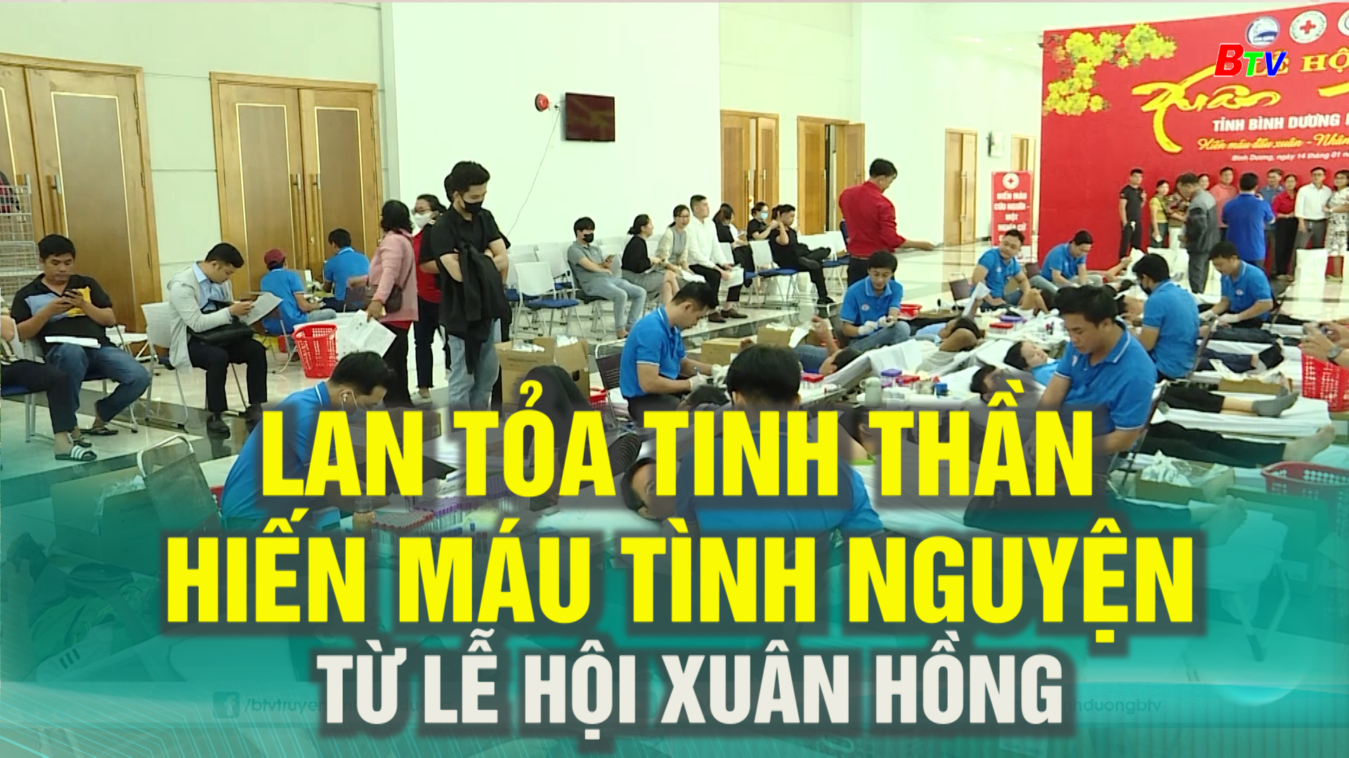 Lan tỏa tinh thần hiến máu tình nguyện từ lễ hội Xuân Hồng