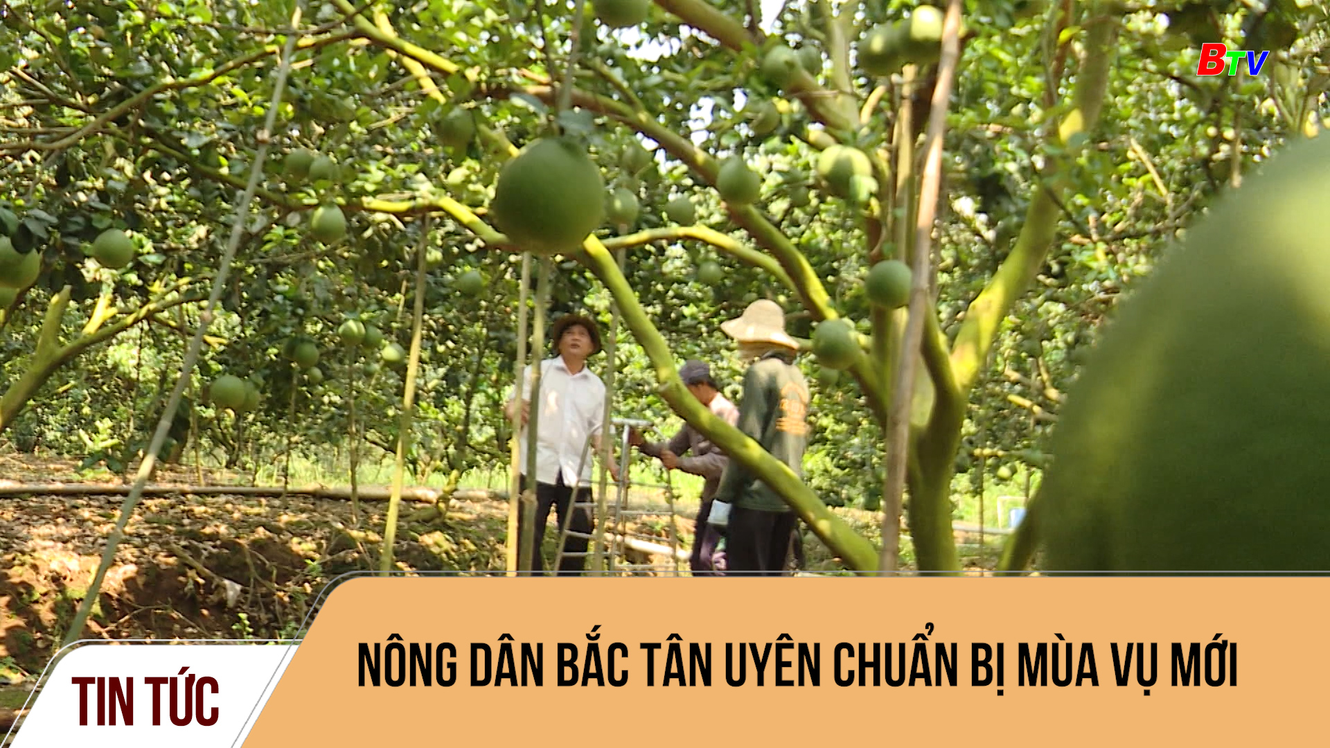 Nông dân Bắc Tân Uyên chuẩn bị mùa vụ mới